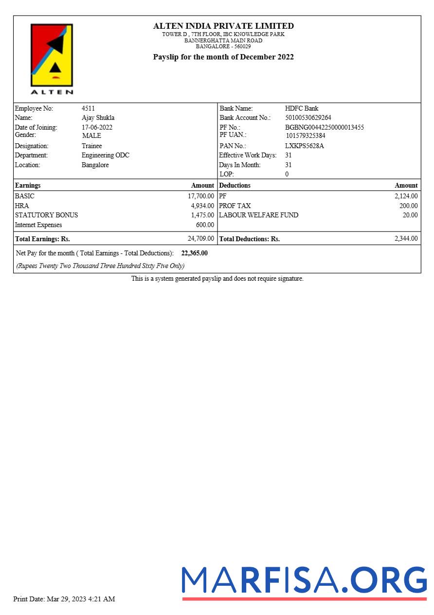 Realistic Alten India payslip (1) real example